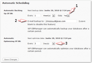 WP-DBManager - Opções